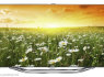 Nauji 2012M. SAMSUNG TV modeliai geriausia kaina