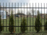 Metalinė tvora 2, 50 m ilgio, 1, 20 aukščio. 165 Lt