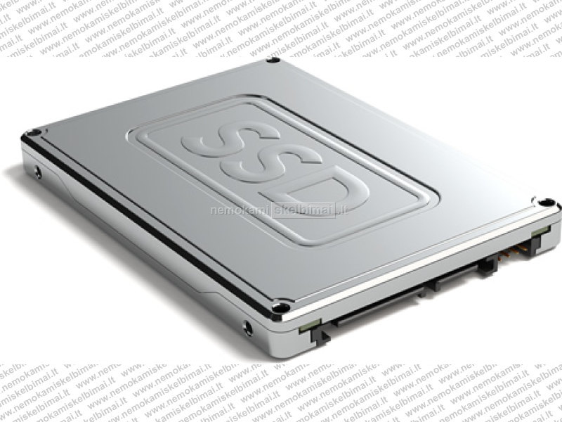 Русский ssd. Ссд 256 ГБ для ноутбука. HDD 256 GB для ноутбука. SSD 2000gb. SSD Drives dell.
