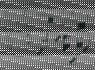Kuriame logotipus (2)