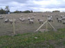 Pigi AGRO Tvora, aptvarai, aptverimai. tvoru montažas