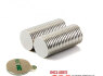 Magnetai (4)
