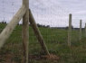 Rulonines vielos tinklo tvoros žemės ūkiui (2)