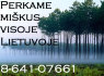 ĮMONĖ 864107661 PERKA MIŠKĄ SU ŽEME AR IŠSIKIRTIMUI VISOJE LIETUVOJE