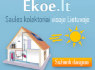 Vakuuminiai saulės kolektoriai