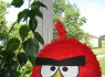 Pinjata Pinata staigmena dovana (6)