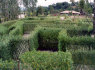 PINTOS GYVOS TVOROS (4)