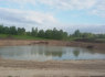 zvyras, smelis, skalda, juodzemis, augalinis 860625738 Vilnius (4)