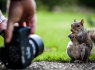 Fotokonsultacijos, foto mokymai