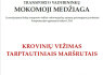 MOKOMOJI MEDŽIAGA LICENCIJUOJAMAI KELIŲ TRANSPORTO VEIKLAI VADOVAUJANČIŲ ASMENŲ EGZAMINUI LTSA (3)