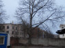 Pavojingų medžių pjovimas (8)