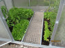 Sodo prekės KLASIKA GARDEN (2)