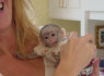 Kūdikių Kapucinų beždžionės dabar laisvų (2)