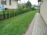 Apželdinimas, aeravimas, žolės pjovimas (34)