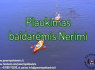 Baidarių nuoma Kaune (1)