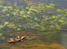 Baidarių nuoma Kaune (3)