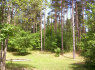 Parduodu mišką - rekreacinės paskirties 4 ha sklypą Telšių rajone, prie Saloto ežero (2)