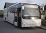 Keleivinių mikroautobusų nuoma Klaipėdoje 16, 17, 18, 20, 50 vietų (3)
