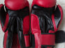 Pirštinės bokso, mma, grappling (8)