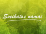 Svetainių ir logotipų kūrimas (10)
