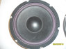2 Subwoofer 250 Watts 10 (5)