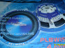Subwoofer 1500 watts (9)