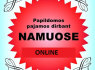 Darbas internetu namuose