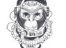 Logotipu kurimas