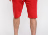 Šortai vyrams (6)