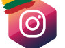 Instagram Lietuvos sekėjai, sekėjų pirkimas