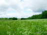Parduodamas 1, 75 ha žemės sklypas Rukainių k (3)
