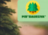 Teikiame miško kirtimo ir sutvarkymo paslaugas (1)