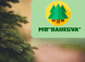 Teikiame miško kirtimo ir sutvarkymo paslaugas