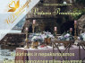 UPmariages - tai vestuvės Prancūzijoje (4)