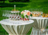 Šampano staliukas šampano sienelė ir aptarnavimas po ceremonijos stilingai (2)