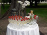 Šampano staliukas šampano sienelė ir aptarnavimas po ceremonijos stilingai (8)