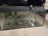 akvariumas 300litrai
