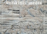 Dekoratyvinis akmuo (7)