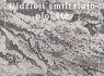 Dekoratyvinis akmuo (8)