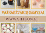 Vaškas žvakių gamybai (4)