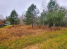 12, 09 arų žemės sklypas Vilniaus r. sav, Marijampolio sen, Akmeniškių k (3)