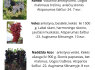 Parduodu vynuogių sodinukus (10)