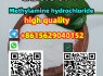CAS 593 - 51 - 1 Methylamine hydrochloride