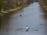 Sporto ir renginių fotografavimas (6)