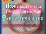 Indole - 3 - butyric acid CAS 133 - 32 - 4