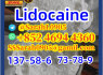 Lidocaine CAS 137 - 58 - 6