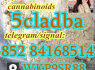 5cladba 5cl - adb - a adbb Strong Original 5cladb