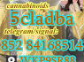 5cladba Raw Materials 5cladb adbb 5cl - adb - a In Stock From China