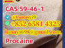 Procaine CAS 59 - 46 - 1