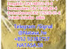 5cladba 5cl adbb 5cl adba 6cl 5fadba